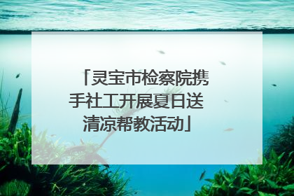 灵宝市检察院携手社工开展夏日送清凉帮教活动