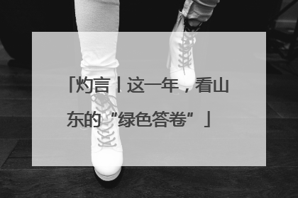 灼言丨这一年，看山东的“绿色答卷”