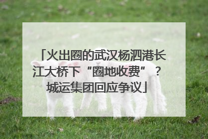 火出圈的武汉杨泗港长江大桥下“圈地收费”？城运集团回应争议