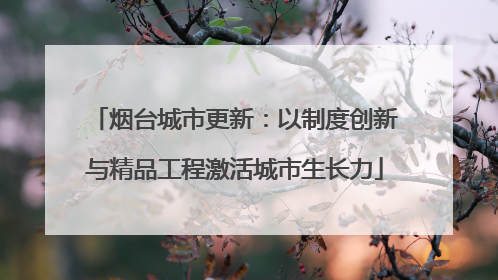 烟台城市更新：以制度创新与精品工程激活城市生长力