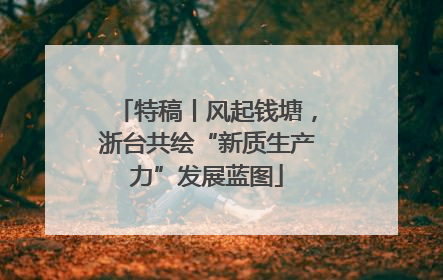 特稿丨风起钱塘，浙台共绘“新质生产力”发展蓝图