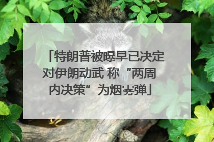 特朗普被曝早已决定对伊朗动武 称“两周内决策”为烟雾弹
