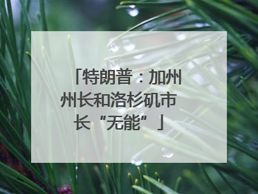 特朗普：加州州长和洛杉矶市长“无能”
