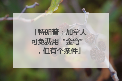 特朗普：加拿大可免费用“金穹”，但有个条件