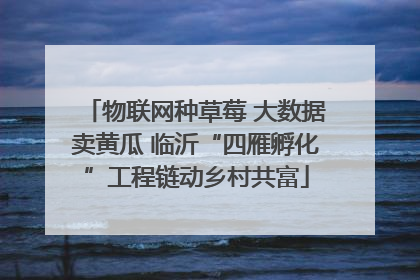 物联网种草莓 大数据卖黄瓜 临沂“四雁孵化”工程链动乡村共富