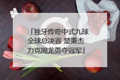 独牙传奇中式九球全球总决赛 楚秉杰力克周龙勇夺冠军