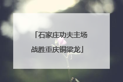石家庄功夫主场战胜重庆铜梁龙