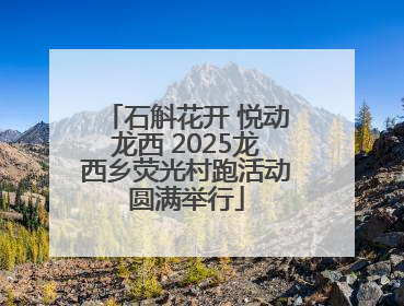 石斛花开 悦动龙西 2025龙西乡荧光村跑活动圆满举行