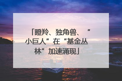 瞪羚、独角兽、“小巨人”在“基金丛林”加速涌现