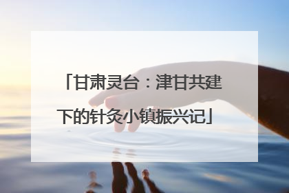 甘肃灵台：津甘共建下的针灸小镇振兴记