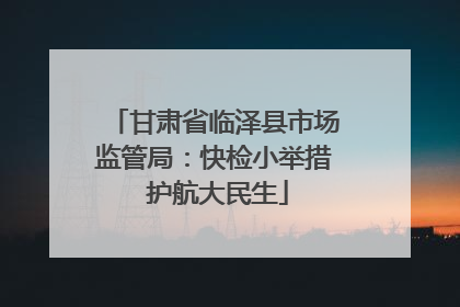 甘肃省临泽县市场监管局：快检小举措 护航大民生