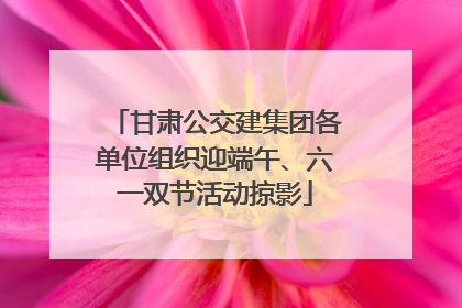 甘肃公交建集团各单位组织迎端午、六一双节活动掠影
