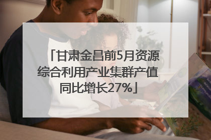 甘肃金昌前5月资源综合利用产业集群产值同比增长27%