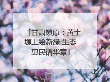 甘肃镇原：黄土塬上绘新绿 生态惠民谱华章