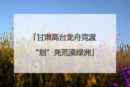 甘肃高台龙舟竞渡“划”亮荒漠绿洲
