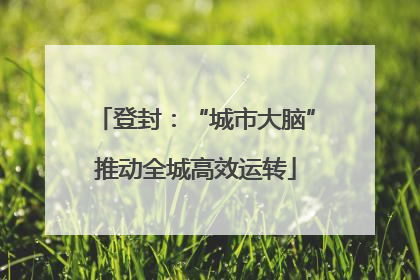 登封：“城市大脑”推动全城高效运转