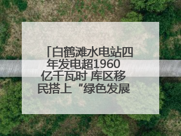 白鹤滩水电站四年发电超1960亿千瓦时 库区移民搭上“绿色发展快车”