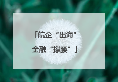 皖企“出海” 金融“撑腰”