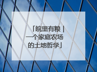 皖里有粮｜一个家庭农场的土地哲学