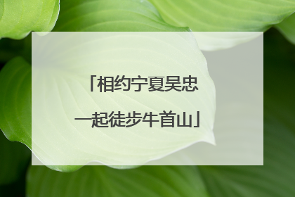 相约宁夏吴忠 一起徒步牛首山