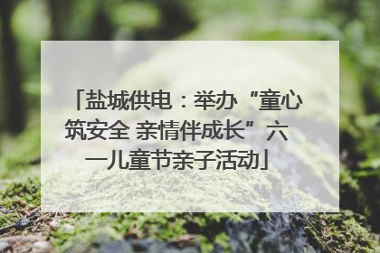 盐城供电：举办“童心筑安全 亲情伴成长”六一儿童节亲子活动