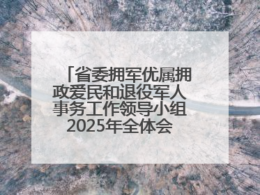 省委拥军优属拥政爱民和退役军人事务工作领导小组2025年全体会议召开