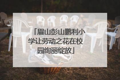 眉山彭山鹏利小学让劳动之花在校园绚丽绽放