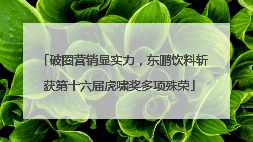破圈营销显实力，东鹏饮料斩获第十六届虎啸奖多项殊荣