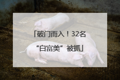 破门而入！32名“白富美”被抓