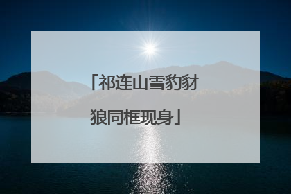 祁连山雪豹豺狼同框现身