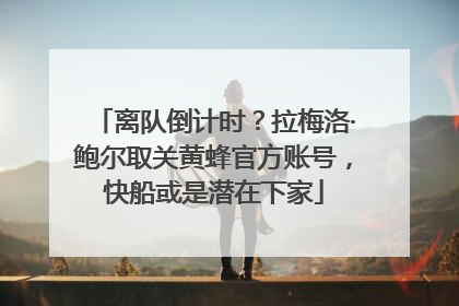 离队倒计时？拉梅洛·鲍尔取关黄蜂官方账号，快船或是潜在下家