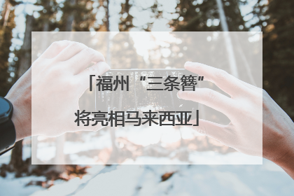 福州“三条簪”将亮相马来西亚
