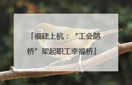 福建上杭：“工会鹊桥”架起职工幸福桥