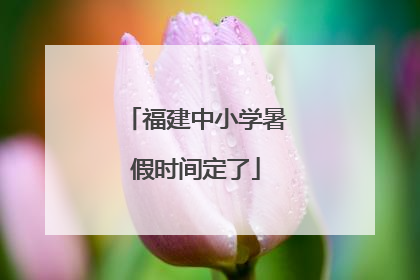 福建中小学暑假时间定了