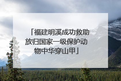 福建明溪成功救助放归国家一级保护动物中华穿山甲