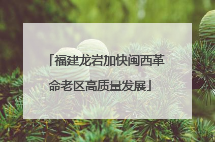 福建龙岩加快闽西革命老区高质量发展