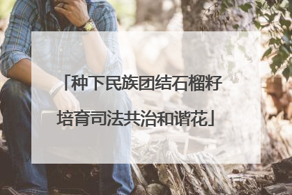 种下民族团结石榴籽 培育司法共治和谐花