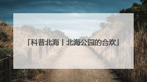 科普北海丨北海公园的合欢
