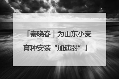 秦晓春｜为山东小麦育种安装“加速器”