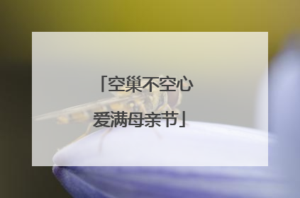 空巢不空心 爱满母亲节