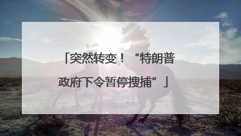突然转变！“特朗普政府下令暂停搜捕”