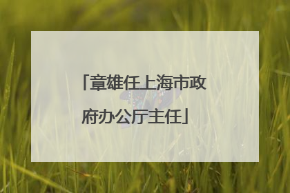 章雄任上海市政府办公厅主任