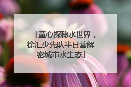 童心探秘水世界，徐汇少先队半日营解密城市水生态
