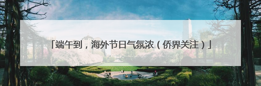 端午到，海外节日气氛浓（侨界关注）