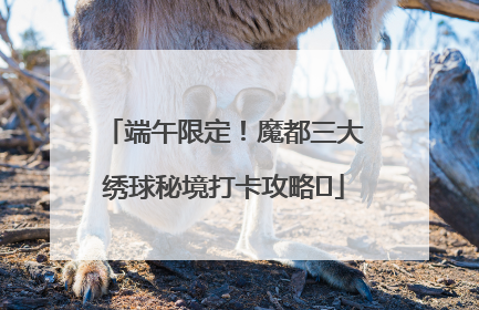 端午限定！魔都三大绣球秘境打卡攻略✨
