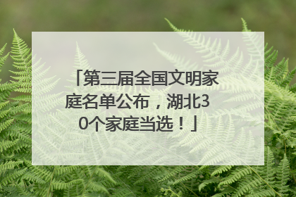 第三届全国文明家庭名单公布，湖北30个家庭当选！