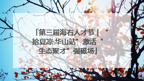 第三届海右人才节｜“拾夏凉·华山站”激活“生态聚才”强磁场