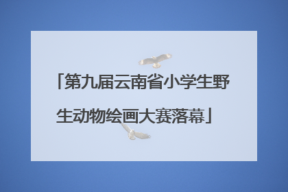 第九届云南省小学生野生动物绘画大赛落幕