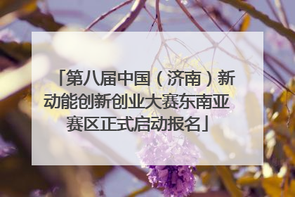 第八届中国（济南）新动能创新创业大赛东南亚赛区正式启动报名