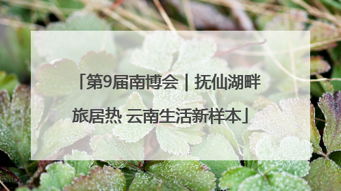 第9届南博会｜抚仙湖畔旅居热 云南生活新样本